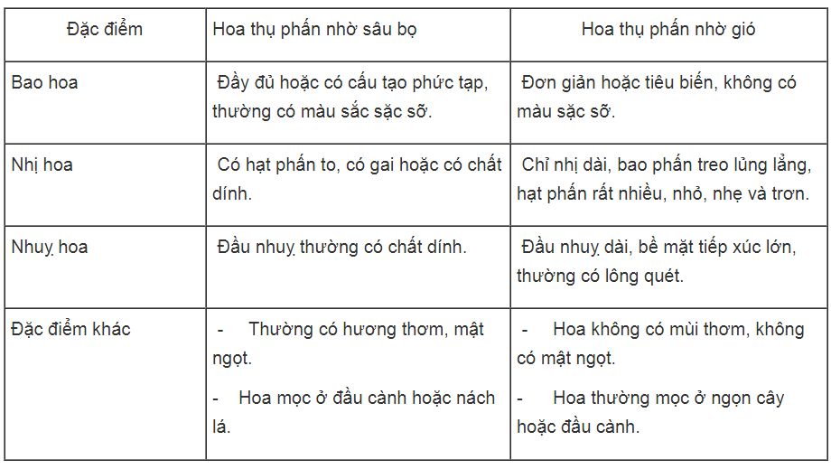 Bài tập tự luận trang 52 SBT Sinh học 6 | Giải sách bài tập Sinh học 6 hay nhất tại VietJack