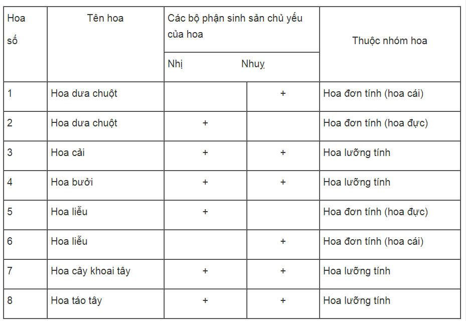 Bài tập có lời giải trang 50, 51, 52 SBT Sinh học 6 | Giải sách bài tập Sinh học 6 hay nhất tại VietJack