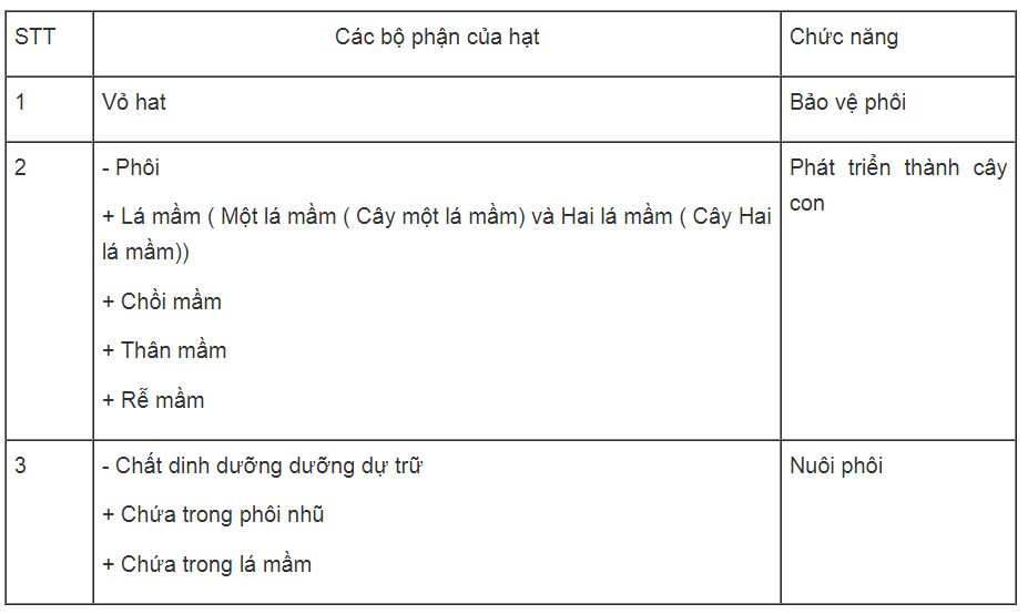 Bài tập có lời giải trang 58, 59, 60, 61 SBT Sinh học 6 | Giải sách bài tập Sinh học 6 hay nhất tại VietJack