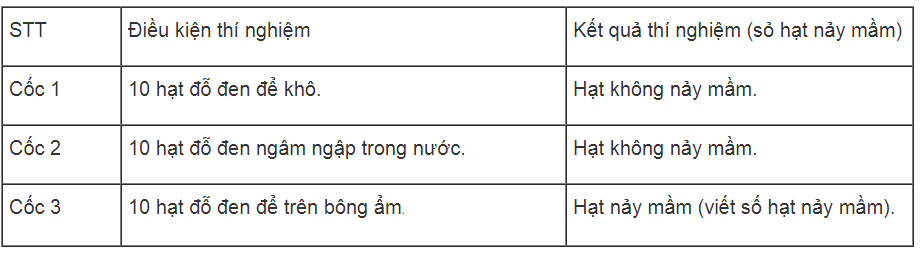 Bài tập tự luận trang 62, 63, 64 SBT Sinh học 6 | Giải sách bài tập Sinh học 6 hay nhất tại VietJack