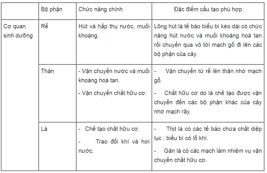 Bài tập có lời giải trang 58, 59, 60, 61 SBT Sinh học 6 | Giải sách bài tập Sinh học 6 hay nhất tại VietJack