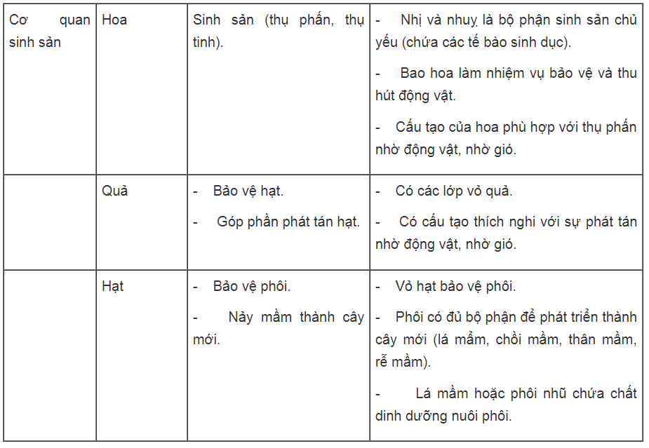 Bài tập có lời giải trang 58, 59, 60, 61 SBT Sinh học 6 | Giải sách bài tập Sinh học 6 hay nhất tại VietJack