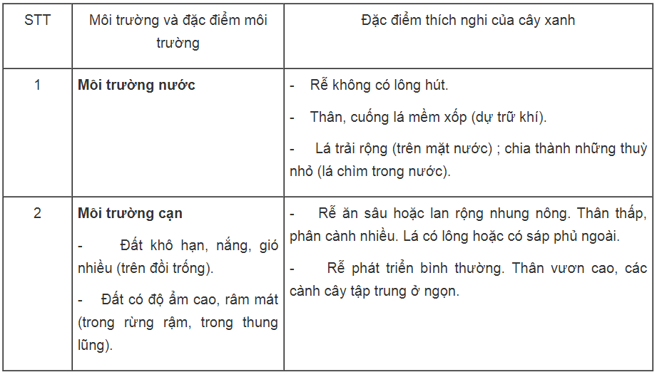 Bài tập có lời giải trang 58, 59, 60, 61 SBT Sinh học 6 | Giải sách bài tập Sinh học 6 hay nhất tại VietJack