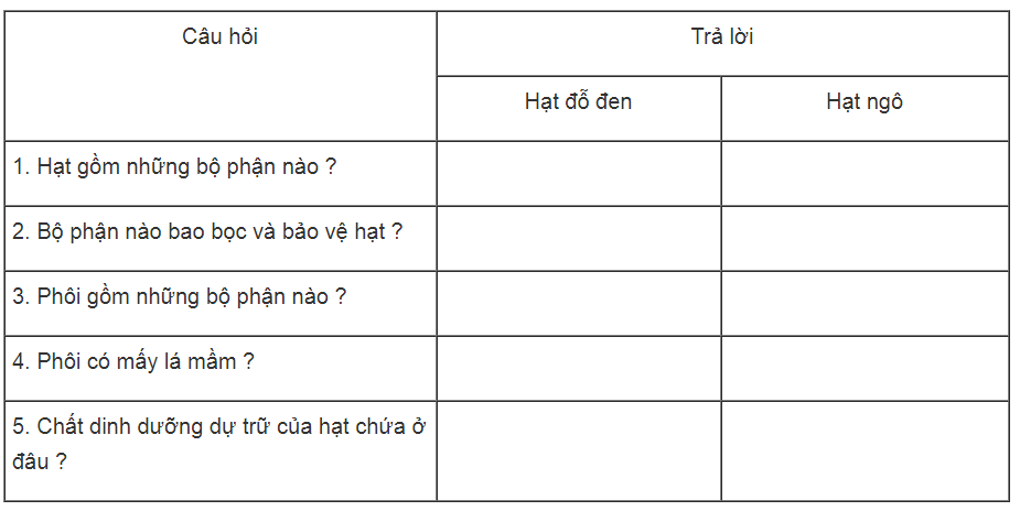 Bài tập tự luận trang 62, 63, 64 SBT Sinh học 6 | Giải sách bài tập Sinh học 6 hay nhất tại VietJack