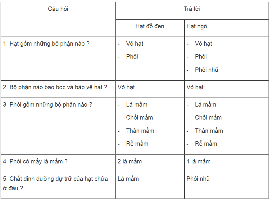 Bài tập tự luận trang 62, 63, 64 SBT Sinh học 6 | Giải sách bài tập Sinh học 6 hay nhất tại VietJack