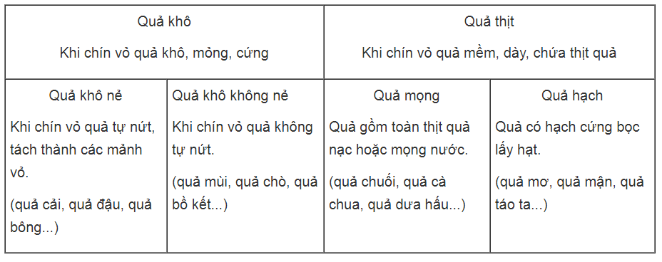 Bài tập có lời giải trang 58, 59, 60, 61 SBT Sinh học 6 | Giải sách bài tập Sinh học 6 hay nhất tại VietJack