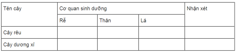 Bài tập tự luận trang 77, 78, 79, 80, 81 SBT Sinh học 6 | Giải sách bài tập Sinh học 6 hay nhất tại VietJack