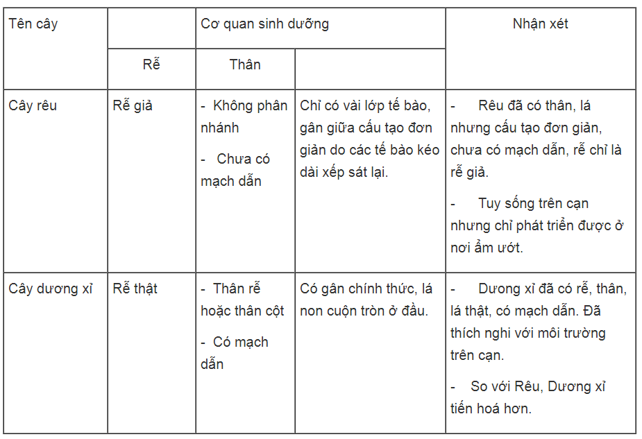 Bài tập tự luận trang 77, 78, 79, 80, 81 SBT Sinh học 6 | Giải sách bài tập Sinh học 6 hay nhất tại VietJack