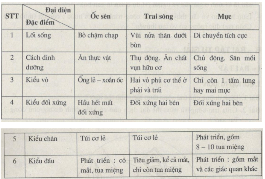 Bài tập có lời giải trang 38, 39, 40, 41, 42 SBT Sinh học 7 | Giải sách bài tập Sinh học 7 hay nhất tại VietJack