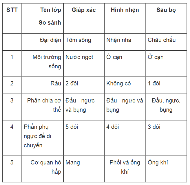 Bài tập có lời giải trang 47, 48, 49, 50, 51 SBT Sinh học 7 | Giải sách bài tập Sinh học 7 hay nhất tại VietJack