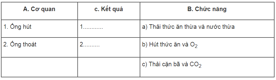 Bài tập trắc nghiệm trang 43, 44, 45 SBT Sinh học 7 | Giải sách bài tập Sinh học 7 hay nhất tại VietJack