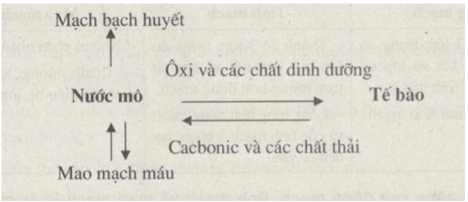 Bài tập có lời giải trang 27, 28 SBT Sinh học 8 | Giải sách bài tập Sinh học 8 hay nhất tại VietJack