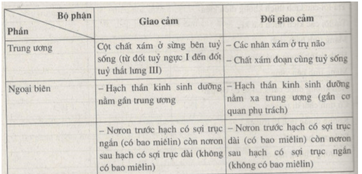 Bài tập tự luận trang 104 SBT Sinh học 8 | Giải sách bài tập Sinh học 8 hay nhất tại VietJack