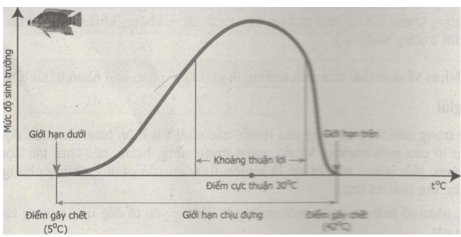 Bài tập có lời giải trang 69, 70, 71, 72, 73 SBT Sinh học 9 | Hay nhất Giải sách bài tập Sinh 9