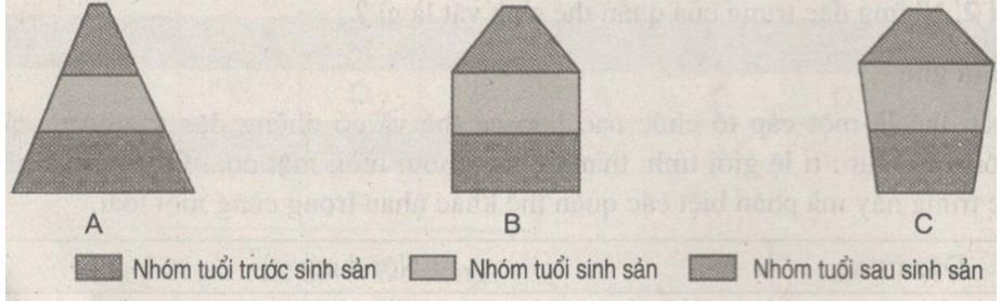 Bài tập có lời giải trang 89, 90, 91, 92, 93, 94 SBT Sinh học 9 | Hay nhất Giải sách bài tập Sinh 9