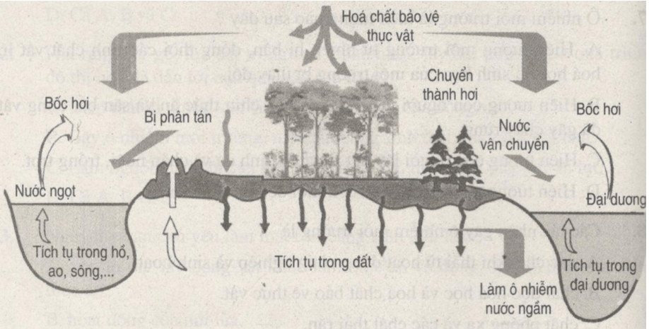 Bài tập trắc nghiệm trang 112, 113, 114, 115, 116, 117, 118, 119 SBT Sinh học 9 | Hay nhất Giải sách bài tập Sinh 9