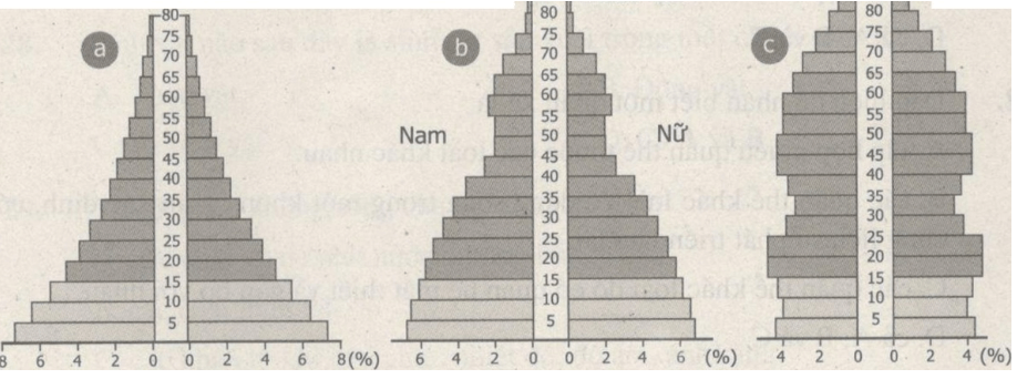 Bài tập trắc nghiệm trang 96, 97, 98, 99, 100, 101, 102, 103 SBT Sinh học 9 | Hay nhất Giải sách bài tập Sinh 9