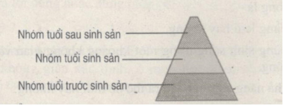 Bài tập trắc nghiệm trang 96, 97, 98, 99, 100, 101, 102, 103 SBT Sinh học 9 | Hay nhất Giải sách bài tập Sinh 9