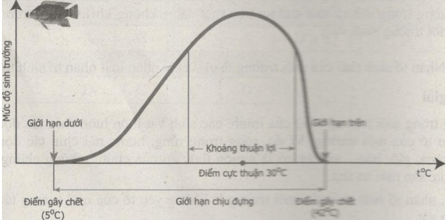 Bài tập tự luận trang 74, 75, 76 SBT Sinh học 9 | Hay nhất Giải sách bài tập Sinh 9