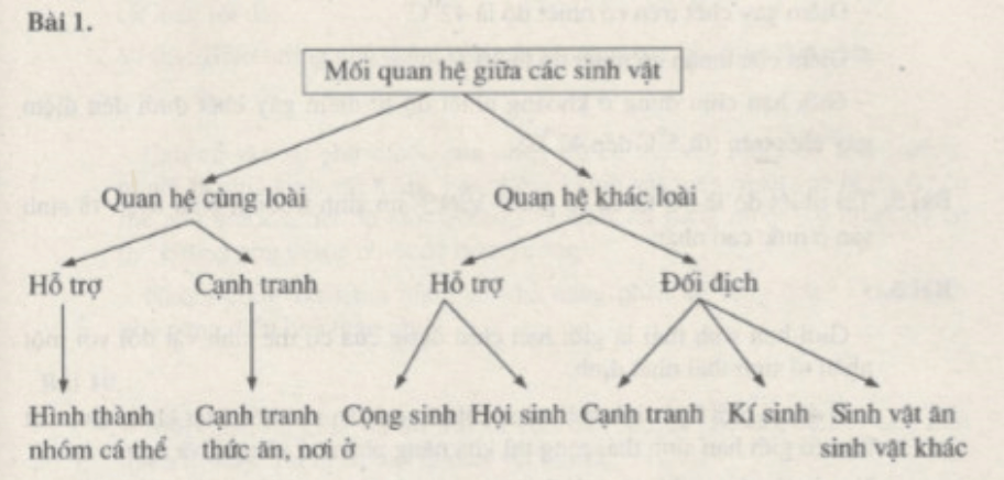 Bài tập tự luận trang 74, 75, 76 SBT Sinh học 9 | Hay nhất Giải sách bài tập Sinh 9