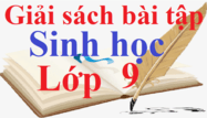 Giải sách bài tập Sinh học 9 | Giải sbt Sinh học 9