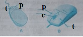 Bài 1 trang 21 SBT Tin học 3 | Giải sách bài tập Tin học 3 hay nhất tại VietJack