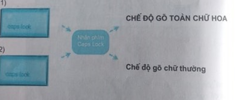 Bài 1 trang 70 SBT Tin học 3 | Giải sách bài tập Tin học 3 hay nhất tại VietJack