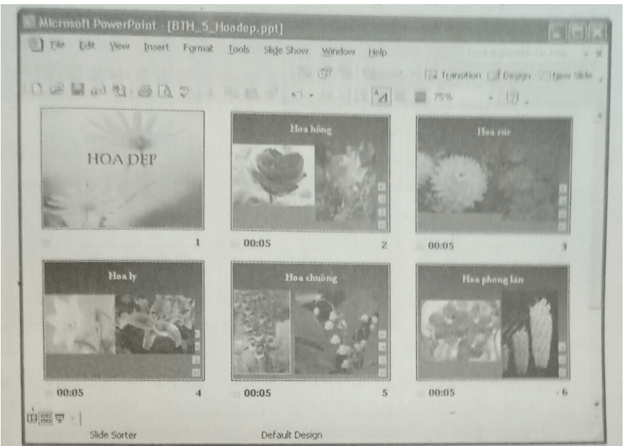 Bài 10, 11, 12, 13, 14 trang 72, 73 SBT Tin học 9