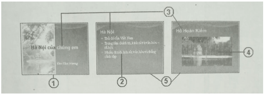 Bài 6 trang 53 SBT Tin học 9