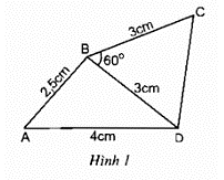 Giải sách bài tập Toán 8 | Giải bài tập Sách bài tập Toán 8