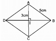 Giải sách bài tập Toán 8 | Giải bài tập Sách bài tập Toán 8