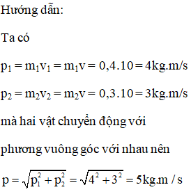 Giải sách bài tập Vật Lí 10 | Giải sbt Vật Lí 10