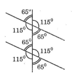 Giải sách bài tập Toán lớp 7 hay nhất, chi tiết