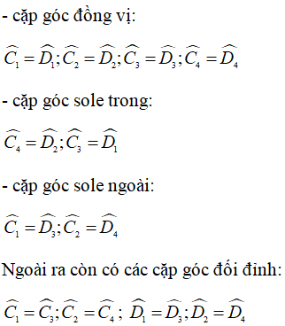 Giải sách bài tập Toán lớp 7 hay nhất, chi tiết