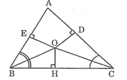 Giải sách bài tập Toán lớp 7 hay nhất, chi tiết