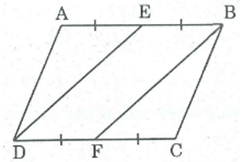 Giải sách bài tập Toán lớp 8 hay nhất, chi tiết