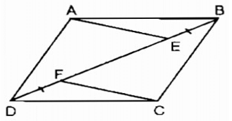 Giải sách bài tập Toán lớp 8 hay nhất, chi tiết