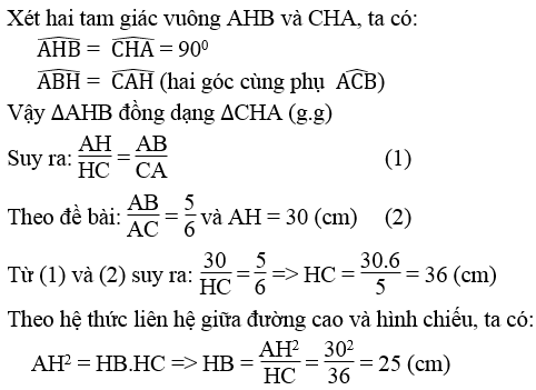 Giải sách bài tập Toán lớp 9 hay nhất, chi tiết