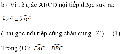 Giải sách bài tập Toán lớp 9 hay nhất, chi tiết