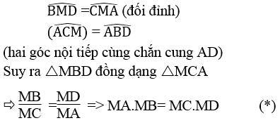 Giải sách bài tập Toán lớp 9 hay nhất, chi tiết