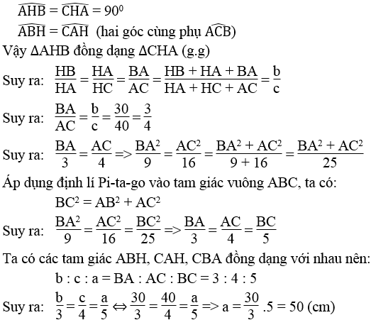 Giải sách bài tập Toán lớp 9 hay nhất, chi tiết