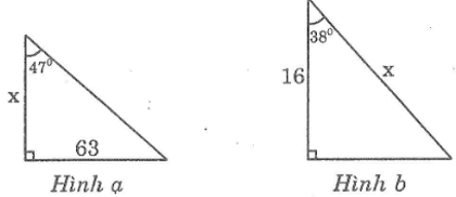 Giải sách bài tập Toán lớp 9 hay nhất, chi tiết