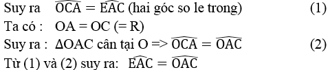 Giải sách bài tập Toán lớp 9 hay nhất, chi tiết