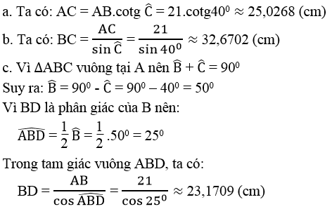 Giải sách bài tập Toán lớp 9 hay nhất, chi tiết