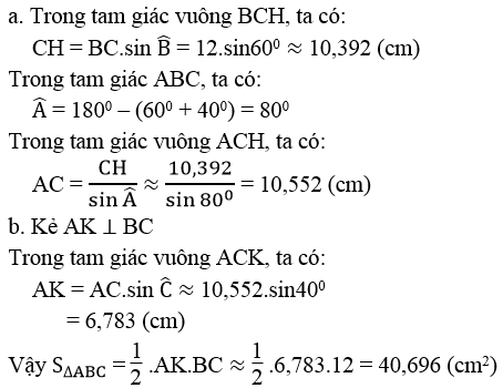 Giải sách bài tập Toán lớp 9 hay nhất, chi tiết