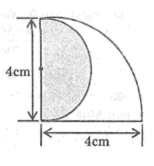 Giải sách bài tập Toán lớp 9 hay nhất, chi tiết