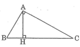 Giải sách bài tập Toán lớp 9 hay nhất, chi tiết