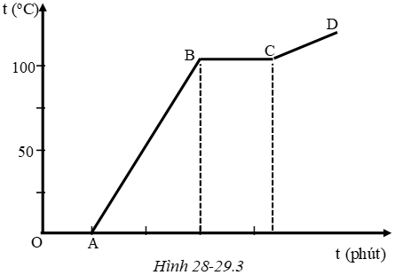 Giải sách bài tập Vật Lí lớp 6 hay nhất, chi tiết