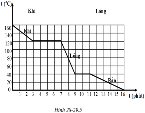 Giải sách bài tập Vật Lí lớp 6 hay nhất, chi tiết