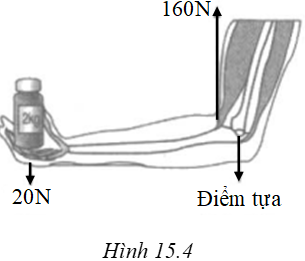 Giải sách bài tập Vật Lí lớp 6 hay nhất, chi tiết